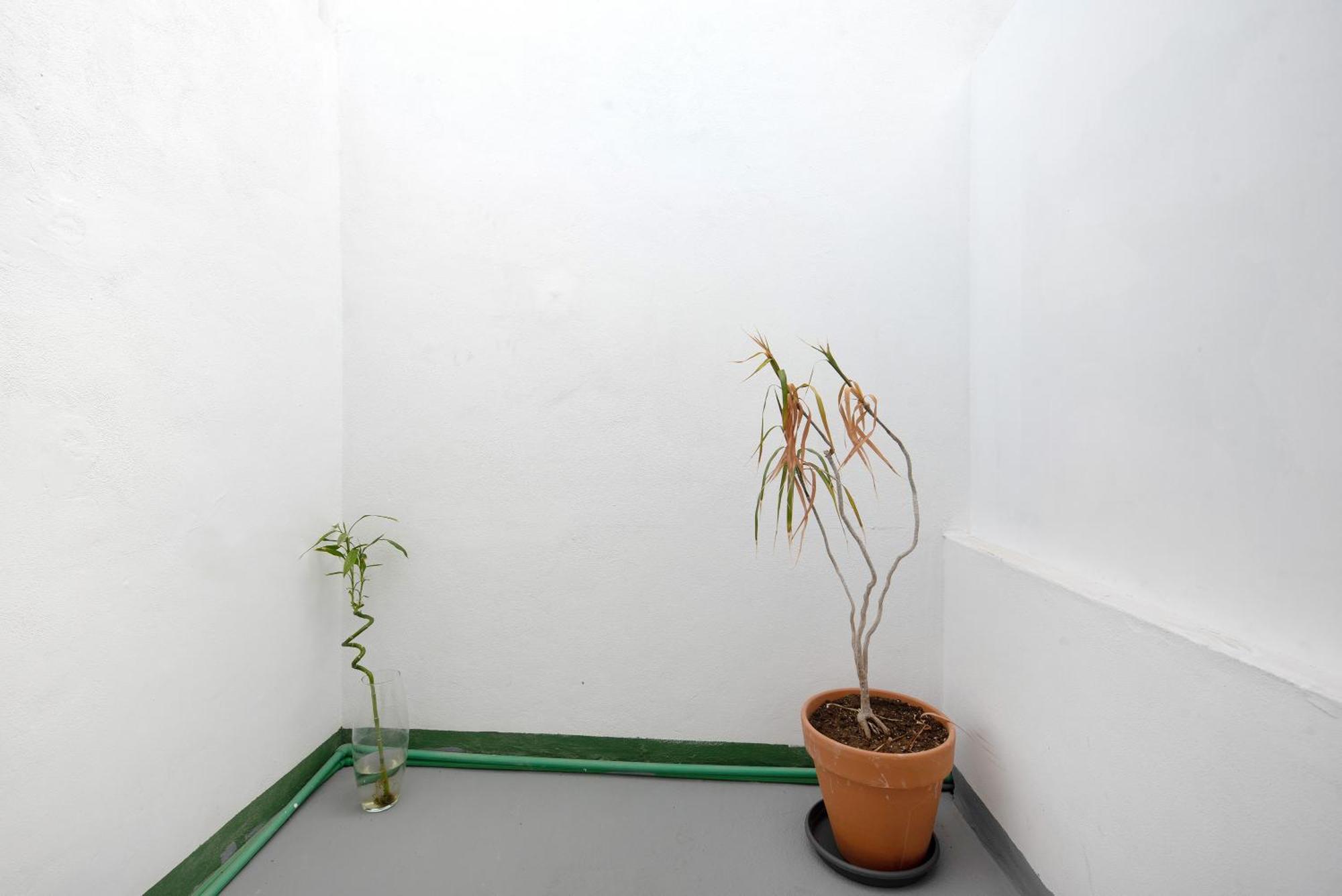 Apartament Vista